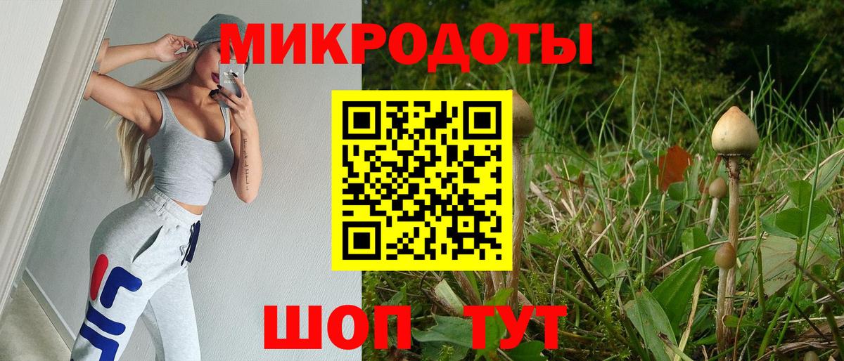 Псилоцибиновые грибы GOLDEN TEACHER Чусовой